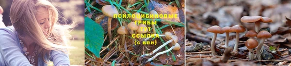марки nbome Алексеевка